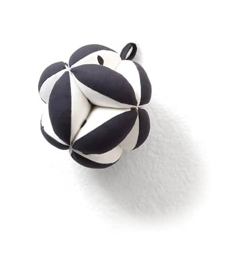 The Play Gym by Lovevery: accessories